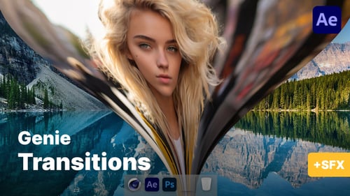 Genie Transitions