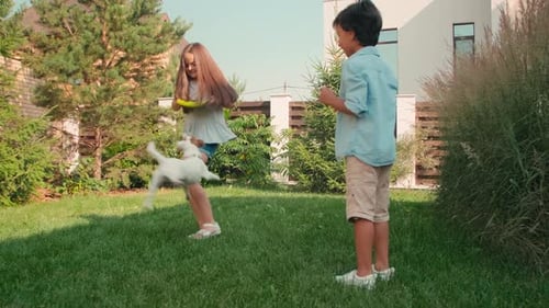 Children Play with Dog in Backyard