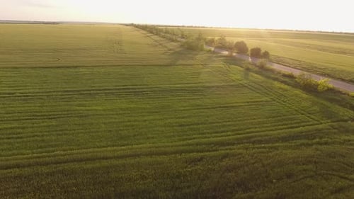 Aerial Shot of a Picturesque Road Running Among Green Zones in Summer in Slo-mo