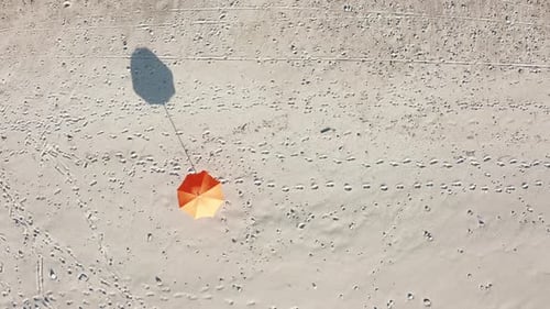 Beach Umbrella at Sunset Light