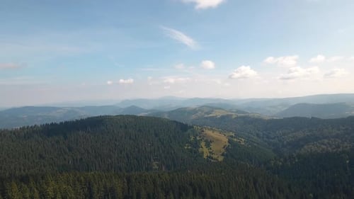 Mountain Peaks Pine Forest Europe