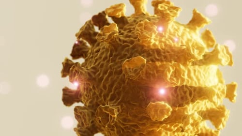 Microscopic 3D Virus Particle Rotation