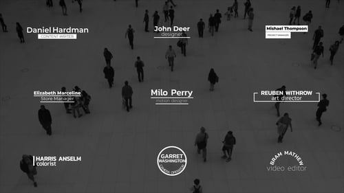 Sleek Modern Lower Thirds for Professional Videos