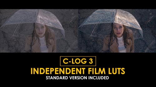 Canon C-Log3 Independent Film and Standard LUTs