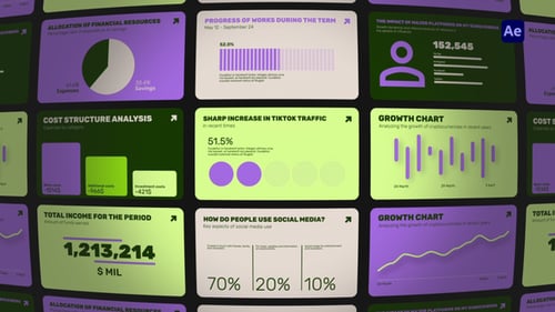 Animated Infographics for Business Data Presentation