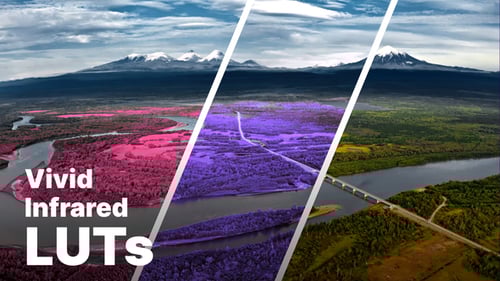 Aerochrome Infrared LUTs