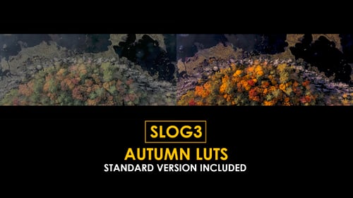 Slog3 Autumn and Standard LUTs