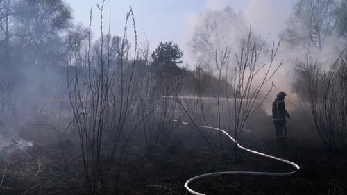 Two Firefighters in Equipment Extinguish Forest Fire with Fire Hose. Slow Motion