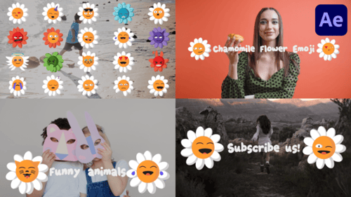 Chamomile Flower Emoji for After Effects