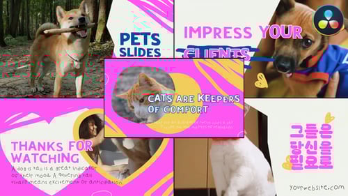 Playful Pet Slideshow with Whimsical Design