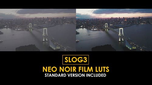 Slog3 Neo Noir Film and Standard LUTs