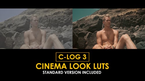 C-Log3 Cinema Look and Standard Color LUTs