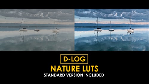 D-Log Cinema Drone Film Color LUTs