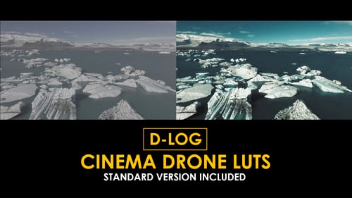 D-Log Cinema Drone Film LUTs