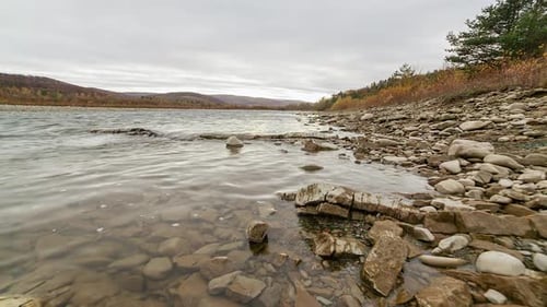 Wild Mountain River Close Up Abundant Clear Stream. Detail Static Shot of Babbling Creek with Stone