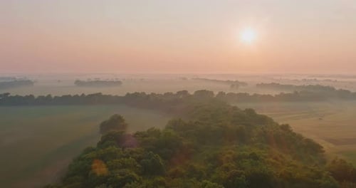 Early Morning Scenery in Field with Sun Casting Beautiful Rays of Light Through the Mist and Trees