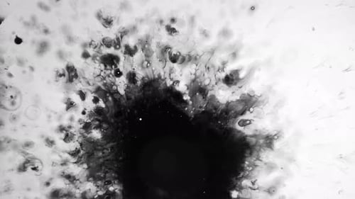 Abstract Black Ink Spreading Fluid Transition