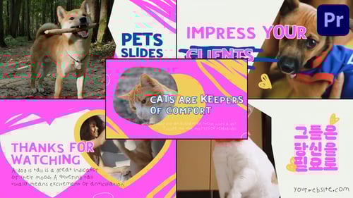 Animated Pet Slideshow with Playful Colorful Graphics