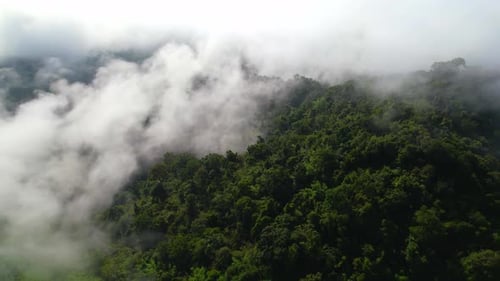 An aerial view from a drone flying over the many fogs in the mountains