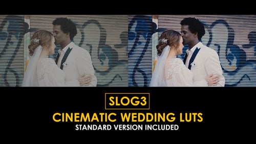 Cinematic Wedding LUTs for Slog3 Color Grading