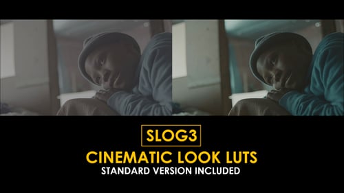 Slog3 Cinematic Look and Standard LUTs