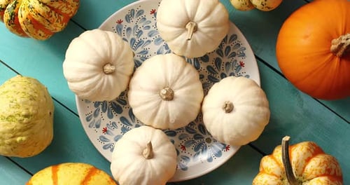 Colorful Ornamental Gourds on Plate