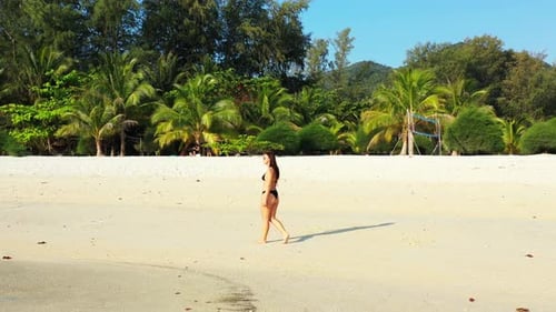 Modern fun women travelling having fun at the beach on paradise white sand and blue background