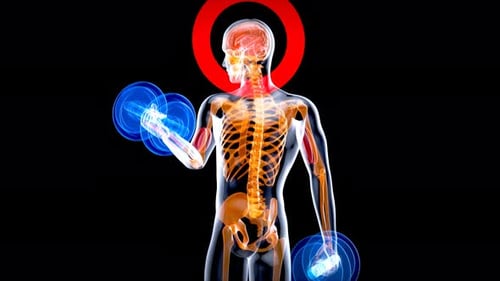 4K anatomy of a X-ray man doing biceps curls