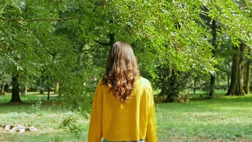 Rear view of woman walking in forest