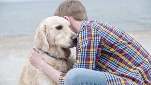 Young Adult Hugs Golden Retriever on Beach