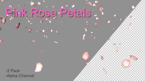 Pétales de rose 4k