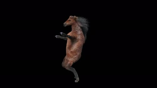 Animated Dancing Horse Character
