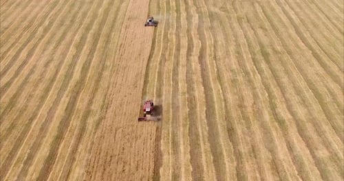 View From the Copter Modern Rural Equipment Working in the Field Grain Harvesting