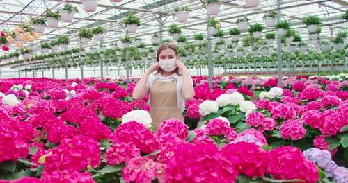 Woman Takes off Mask and Smells Hydrangeas in Greenhouse