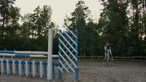 Junge Reiterin auf Bay Horse springt bei Pferdesportwettbewerb über Hürde