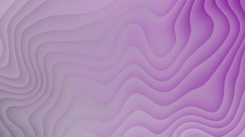 Abstract Purple Fluid Waves Seamless Background Loop