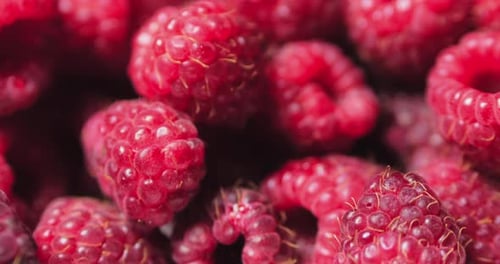 Fond de framboise frais et juteux, mû