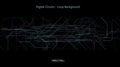 Digital Circuits - Panoramic Screen