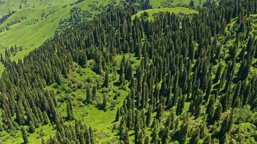 Prairie de Nalati