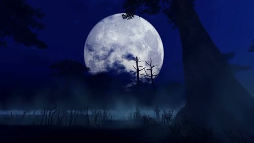 Mysterious Night Forest With Swamp On Halloween
