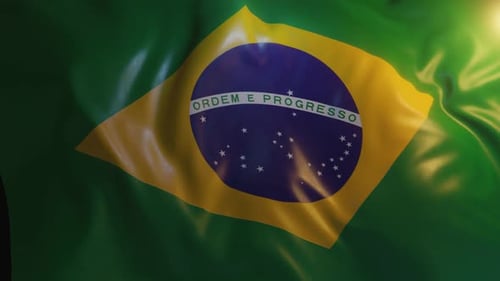 Brazil Flag