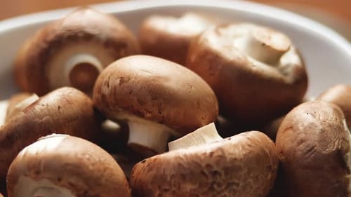 Side View Of Uncooked Fresh Raw Royal Champignon Mushrooms Rotating Close Up