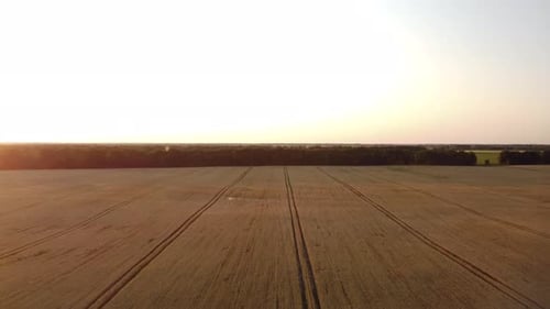 Weizenfelder bei Sonnenuntergang
