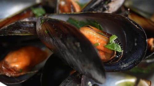 Close-up of Steamed Mussels with Herbs