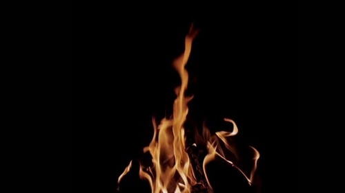 Close-Up of Fiery Flames Dancing on Black Background