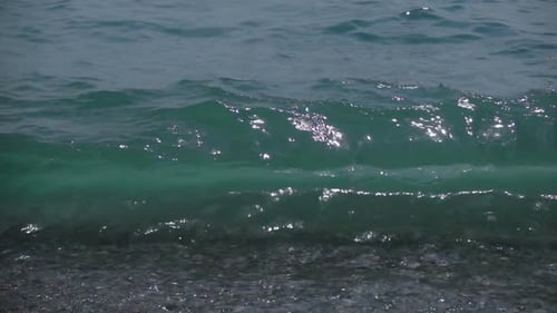 Sea 24