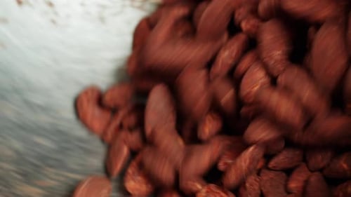 Seasoned Nuts Tumble in a Silver Bowl