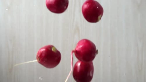 The Falling Garden Radish Fruits