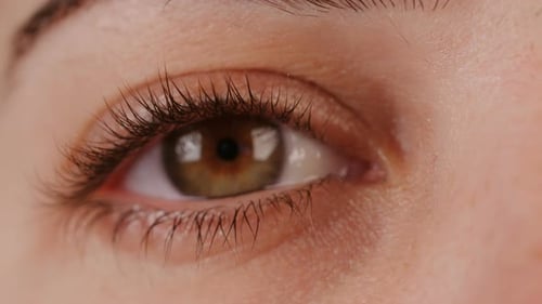 Macro shot of a woman's brown eye opening