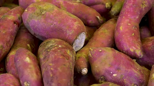 Pile of Dirty Sweet Potatoes Close Up